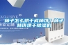 柿子怎么烘干成柿餅？柿子柿餅烘干除濕機
