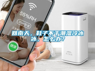 常見問題回南天，鞋子不干潮濕冷冰冰，怎么辦？