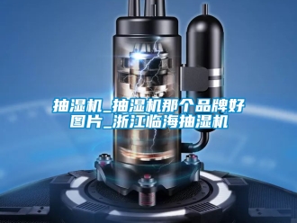 企業新聞抽濕機_抽濕機那個品牌好圖片_浙江臨海抽濕機