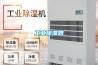 工業除濕器