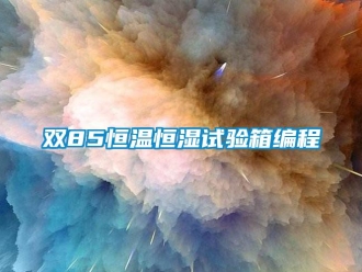 知識百科雙85恒溫恒濕試驗箱編程