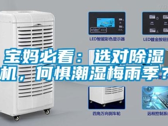 常見問題寶媽必看：選對除濕機，何懼潮濕梅雨季？
