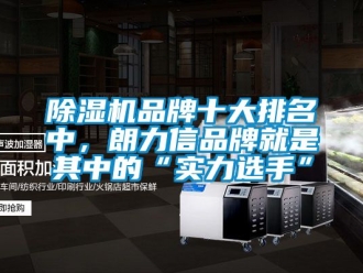 企業新聞除濕機品牌十大排名中，朗力信品牌就是其中的“實力選手”