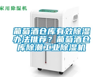 常見問題葡萄酒倉庫有效除濕辦法推薦？葡萄酒倉庫除潮工業除濕機