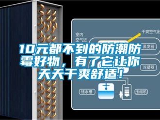 企業新聞10元都不到的防潮防霉好物，有了它讓你天天干爽舒適！