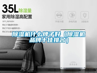 企業新聞除濕機什么牌子好（除濕機品牌十佳排名）