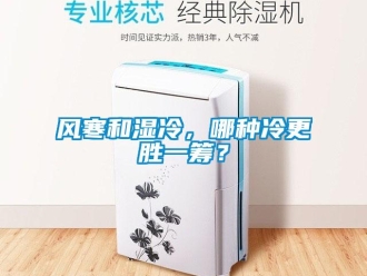 企業新聞風寒和濕冷，哪種冷更勝一籌？