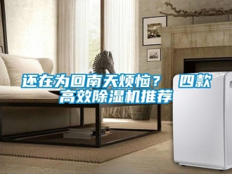 行業新聞還在為回南天煩惱？ 四款高效除濕機推薦