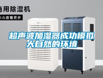 企業新聞超聲波加濕器成功模擬大自然的環境
