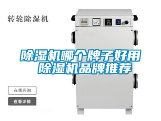 企業新聞除濕機哪個牌子好用 除濕機品牌推薦