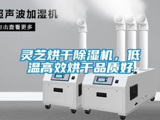 行業新聞靈芝烘干除濕機，低溫高效烘干品質好
