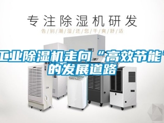 常見問題工業除濕機走向“高效節能”的發展道路