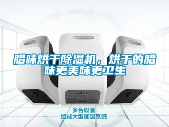 行業新聞臘味烘干除濕機，烘干的臘味更美味更衛生