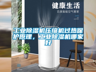常見問題工業除濕機壓縮機過熱保護原理，工業除濕機哪家好