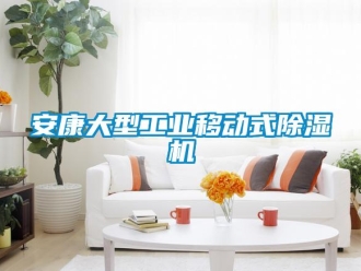 常見問題安康大型工業移動式除濕機