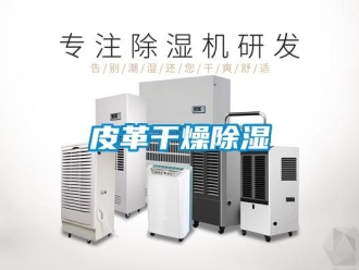 行業新聞皮革干燥除濕