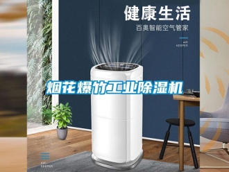 知識百科煙花爆竹工業除濕機
