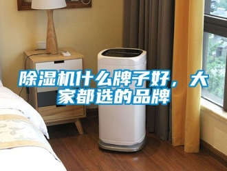 企業新聞除濕機什么牌子好，大家都選的品牌