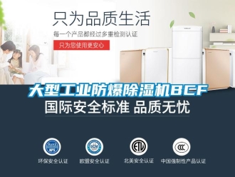 企業新聞大型工業防爆除濕機BCF