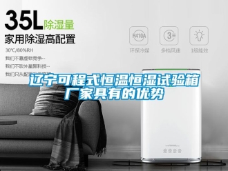 知識百科遼寧可程式恒溫恒濕試驗箱廠家具有的優勢