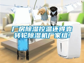 企業新聞廠房除濕控溫還得靠轉輪除濕機廠家組!