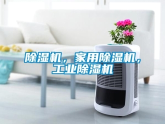 常見問題除濕機，家用除濕機，工業除濕機