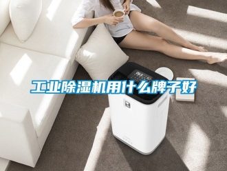 常見問題工業除濕機用什么牌子好