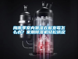 常見問題梅雨季室內潮濕衣服發霉怎么辦？家用除濕機輕松搞定