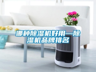 企業新聞哪種除濕機好用—除濕機品牌排名