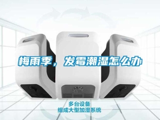 常見問題梅雨季，發霉潮濕怎么辦