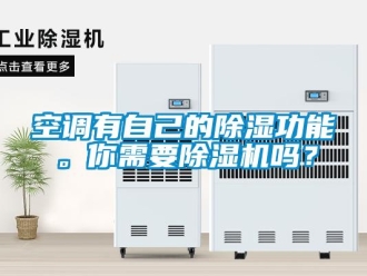 常見問題空調有自己的除濕功能。你需要除濕機嗎？