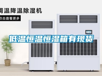 知識百科低溫恒溫恒濕箱有現貨