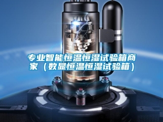 知識百科專業智能恒溫恒濕試驗箱商家（數顯恒溫恒濕試驗箱）