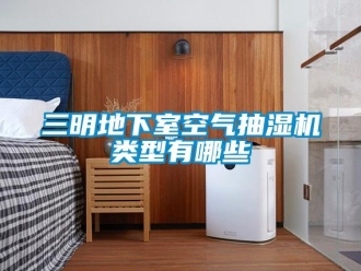 企業新聞三明地下室空氣抽濕機類型有哪些
