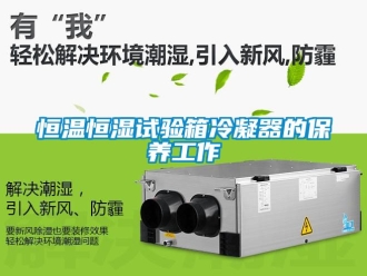 知識百科恒溫恒濕試驗箱冷凝器的保養工作