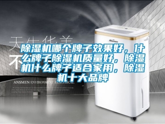 企業新聞除濕機哪個牌子效果好，什么牌子除濕機質量好，除濕機什么牌子適合家用，除濕機十大品牌
