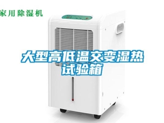 常見問題大型高低溫交變濕熱試驗箱