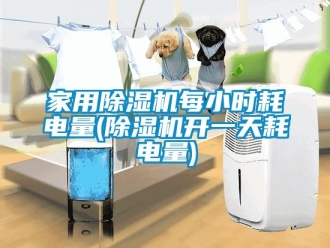 常見問題家用除濕機每小時耗電量(除濕機開一天耗電量)