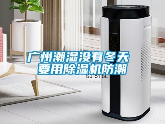 行業新聞廣州潮濕沒有冬天 要用除濕機防潮