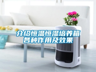 知識百科介紹恒溫恒濕培養箱各種作用及效果