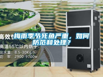 常見問題梅雨季節死魚嚴重，如何防范和處理？