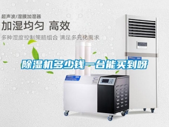 企業新聞除濕機多少錢一臺能買到呀