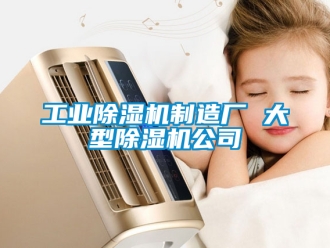 常見問題工業除濕機制造廠 大型除濕機公司