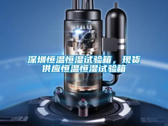知識百科深圳恒溫恒濕試驗箱，現貨供應恒溫恒濕試驗箱