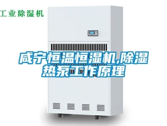 知識百科咸寧恒溫恒濕機,除濕熱泵工作原理
