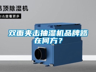 知識百科雙面夾擊抽濕機品牌路在何方？