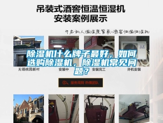行業新聞除濕機什么牌子最好，如何選購除濕機，除濕機常見問題？