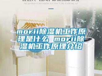 企業新聞morii除濕機工作原理是什么 morii除濕機工作原理介紹
