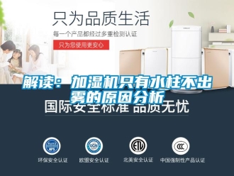 行業新聞解讀：加濕機只有水柱不出霧的原因分析