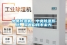 中央除濕機，中央除濕系統，濕度由我不由天